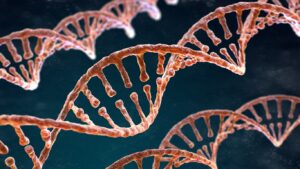 3D-Visualisierung einer DNA-Doppelhelix – animierte Darstellung für Erklärfilme in der Wissenschaftskommunikation, Molekularbiologie und Genetik
